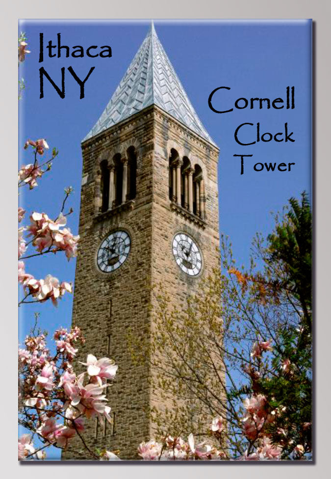 Cornell Clock Tower 2X3 Sunny Days of Ithaca