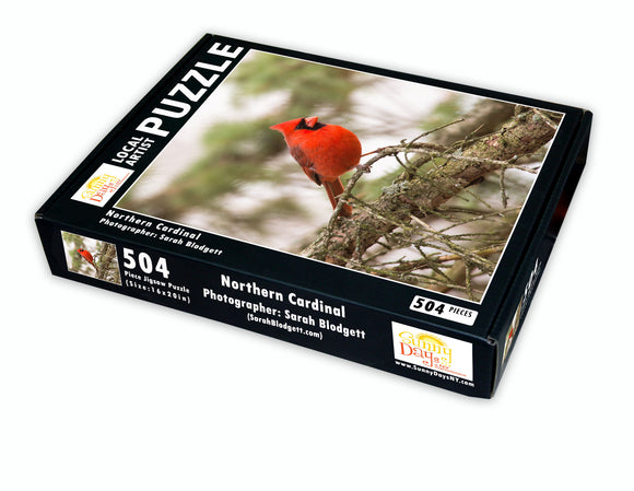 Northern Cardinal