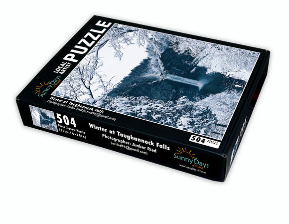 Winter At Taughannock Falls