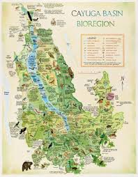 Cayuga Basin Bioregion Map