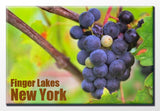 Finger Lakes Grapes 2X3 Magnet