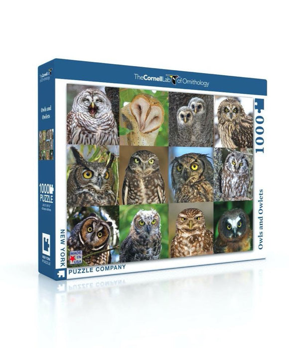 Owls and Owlets Jigsaw Puzzle