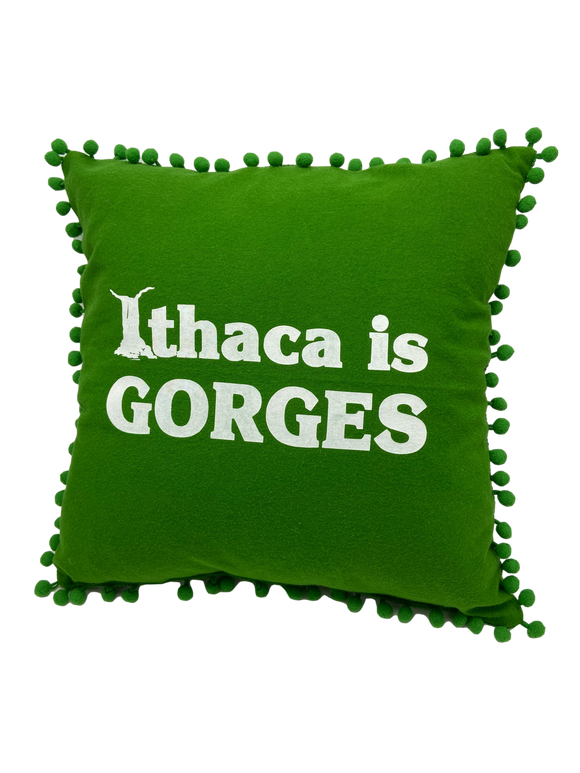 Ithaca Is Gorges 14x14 Pillow