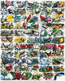 State Birds & Flowers Jigsaw Puzzle